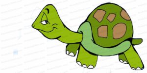 MDL044 - EN - Conflict Mode Instrument - 03 - Avoid - Turtle2 - No Text