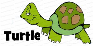 MDL044 - EN - Conflict Mode Instrument - 03 - Avoid - Turtle2 - Text