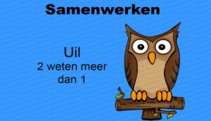 MDL044 - NE - Leiderschaps- en Conflictstijlen - 02 - Samenwerken - Character - Uil2