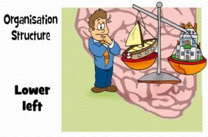 MDL102 - EN - Whole Brain Model - Q3 - Lower Left - Matrix - Text