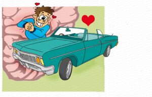 MDL102 - EN - Whole Brain Model - Q4 - Lower Right - Matrix - No Text