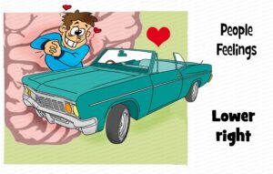 MDL102 - EN - Whole Brain Model - Q4 - Lower Right - Matrix - Text