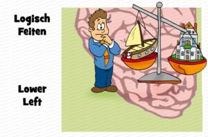 MDL102 - NE - Whole Brain Model - Lower Left - Text