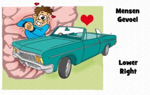 MDL102 - NE - Whole Brain Model - Lower Right - Text