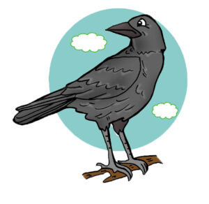 MDL901 - EN - Corporate Lesson 1 - A Story - 01 - Crow - 01